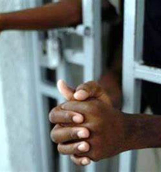 fonctionnaire de la Présidence, Amavi Katanga