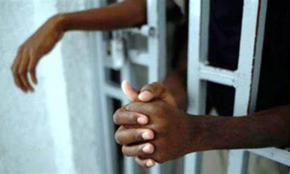 Togo, fonctionnaire de la Présidence, Amavi Katanga