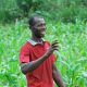Producteurs