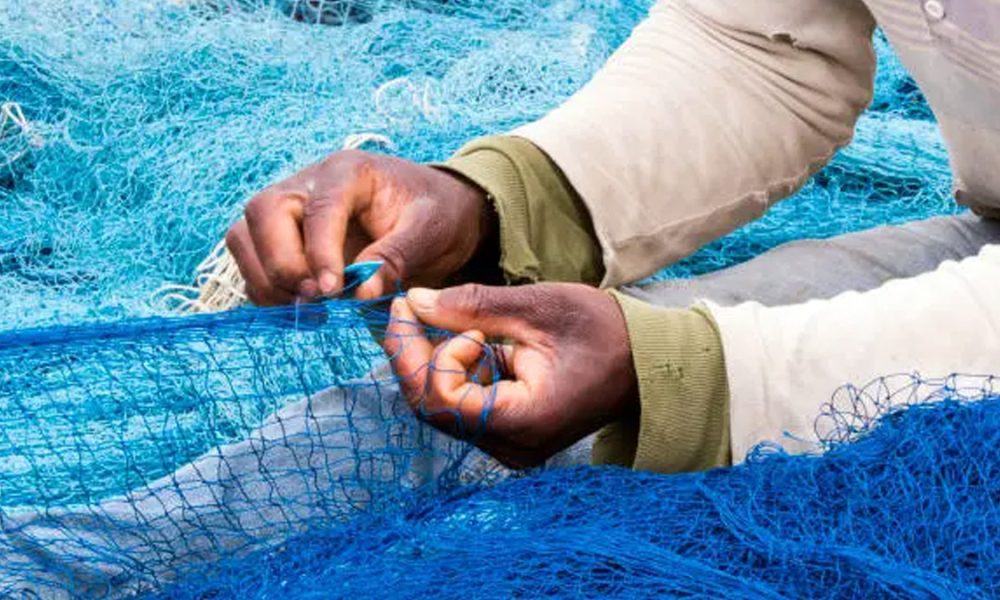 activités de pêche