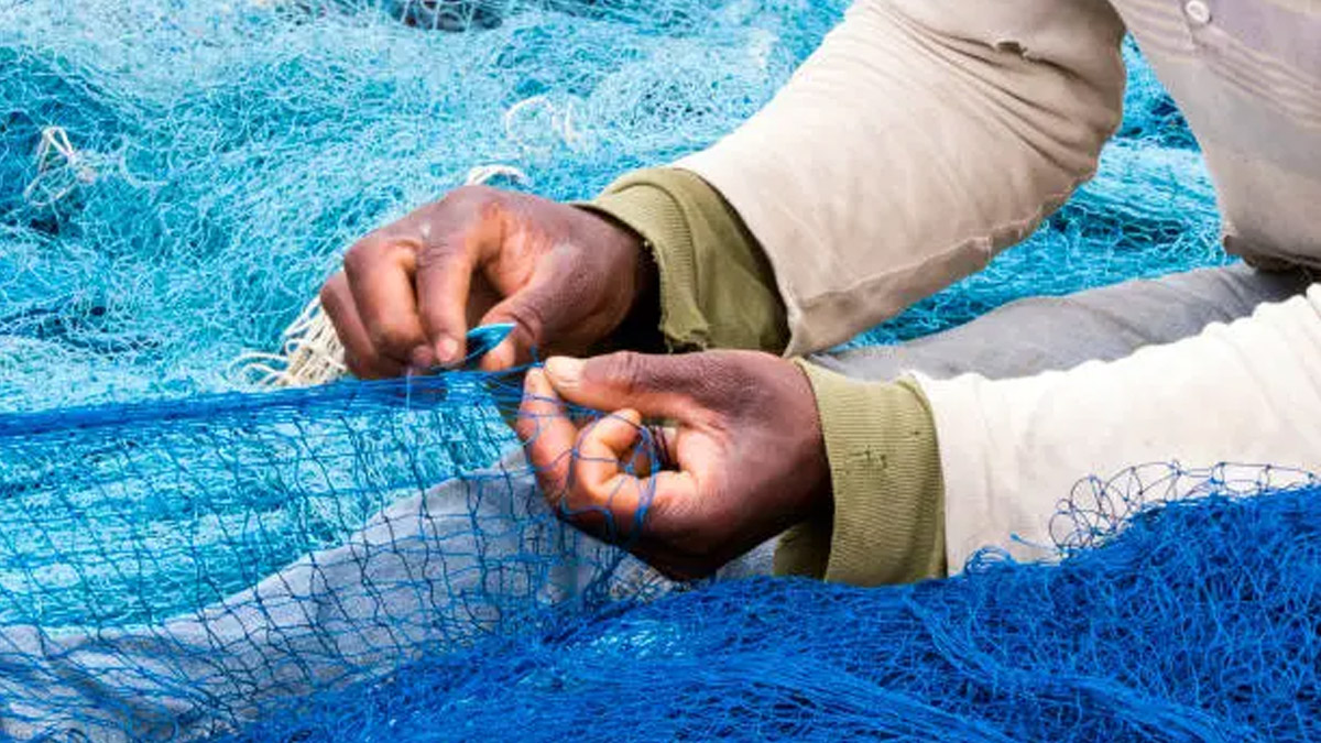 activités de pêche