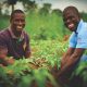 Agricole