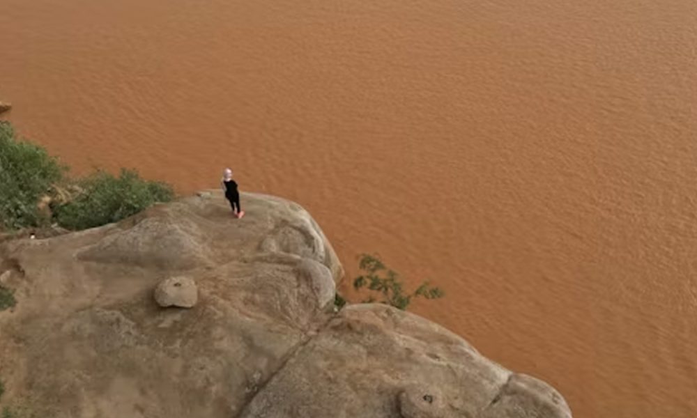 Savanes