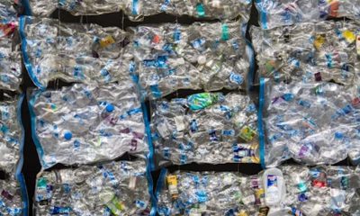 gestion des déchets