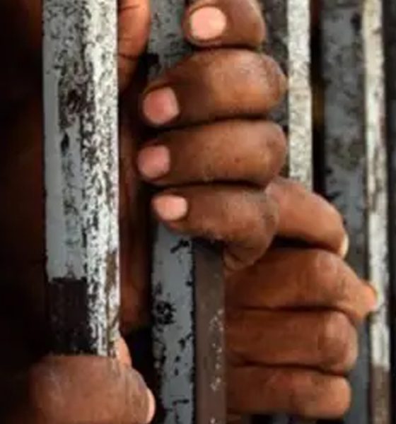 Faure Gnassingbé, Togo, grâce présidentielle