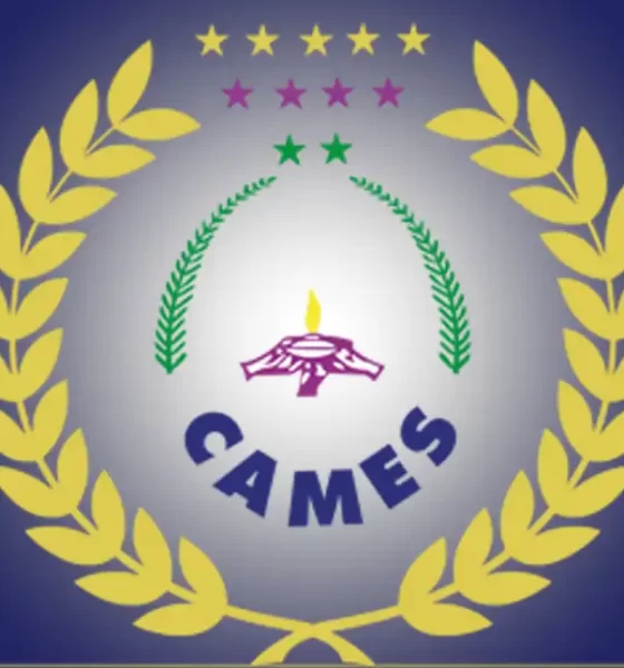 Enseignement supérieur